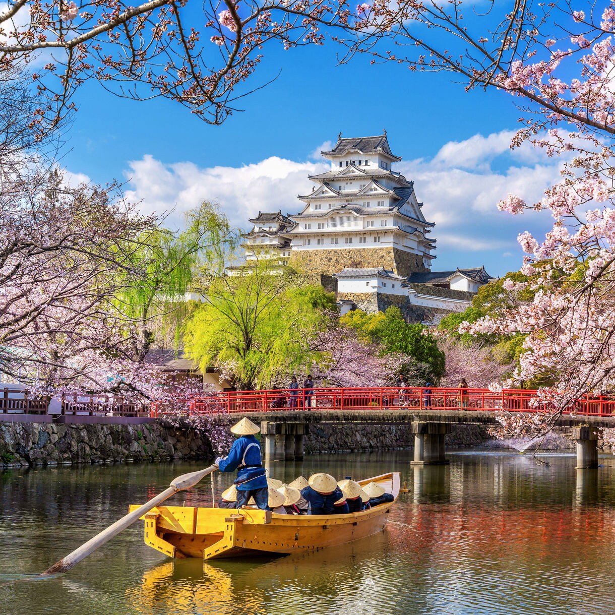 Traditional boat with tourists on moat near Himeji Castle in Japan, surrounded by cherry blossoms and red bridge.