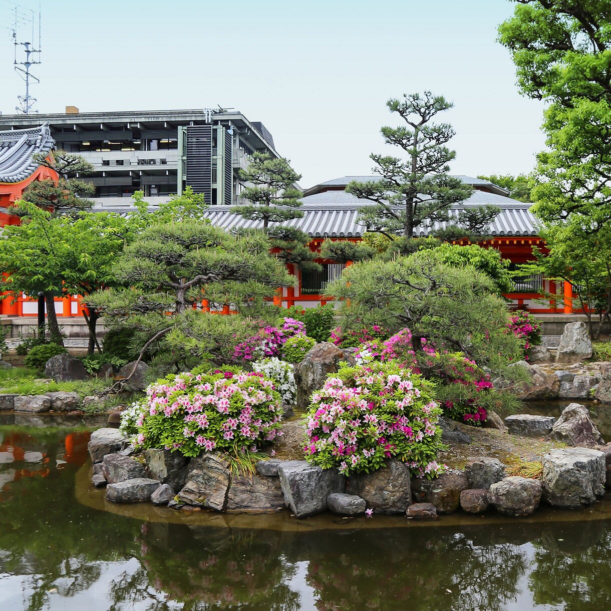 Japanese garden with flowering shrubs, rocks and a pond in front of Sanjusangendo Temple in Kyoto, Japan.