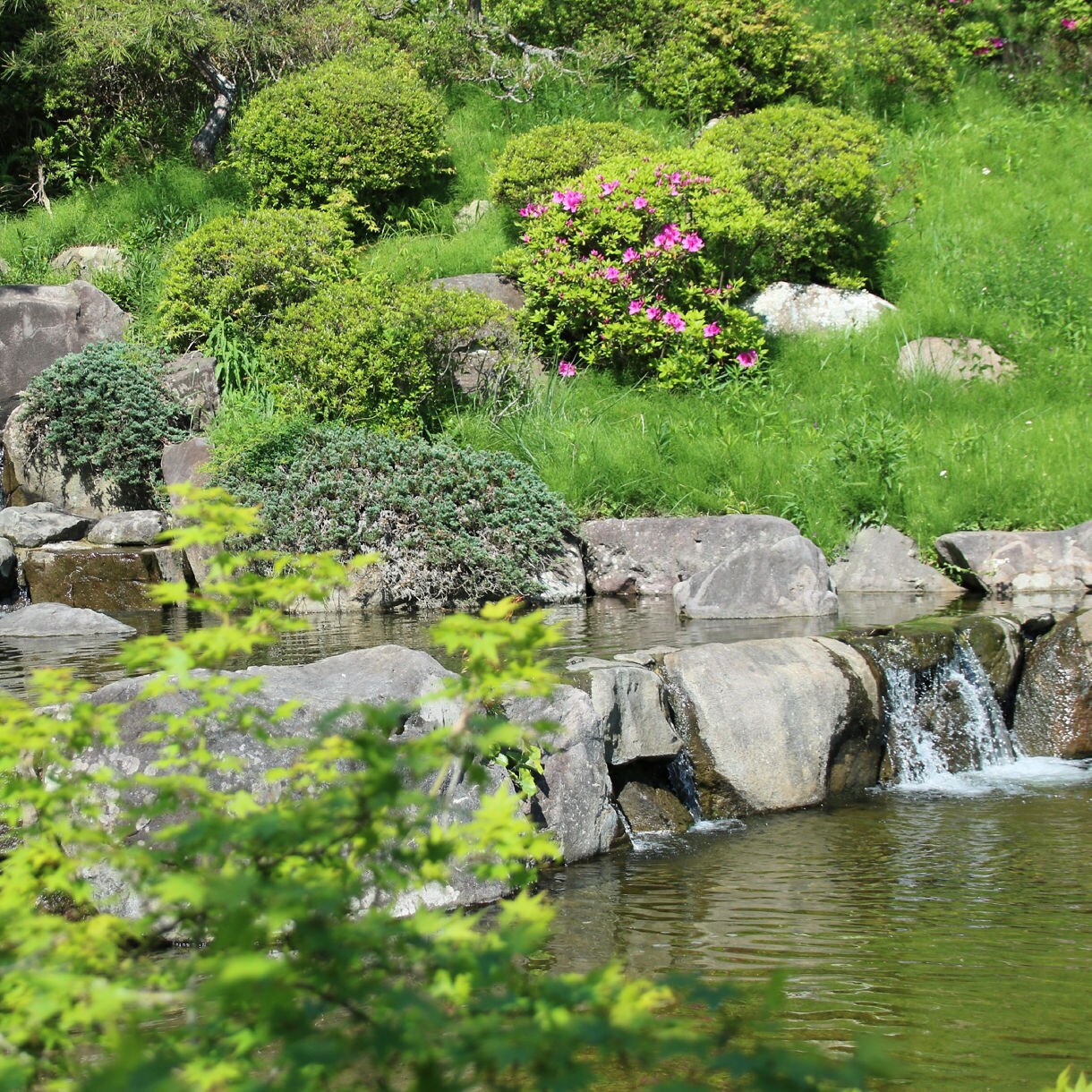 Serene Japanese garden with small waterfalls, stone-lined pond and vibrant green foliage in Kobe, Japan.