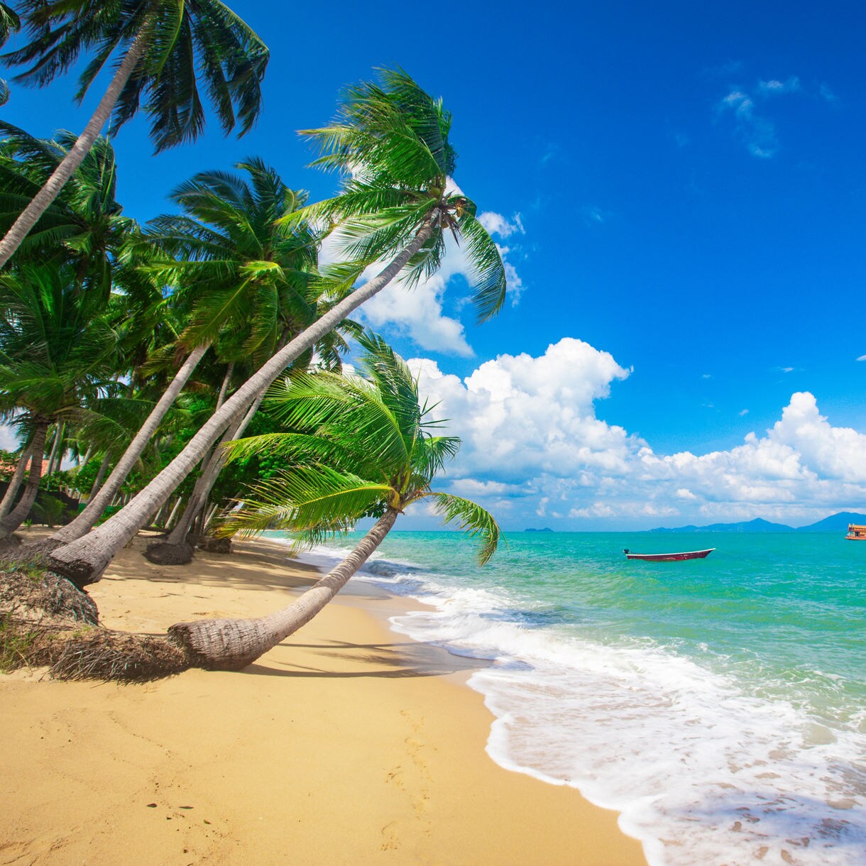 Tropical beach on Koh Samui with curved palm trees, golden sand, turquoise water and small boats floating offshore.