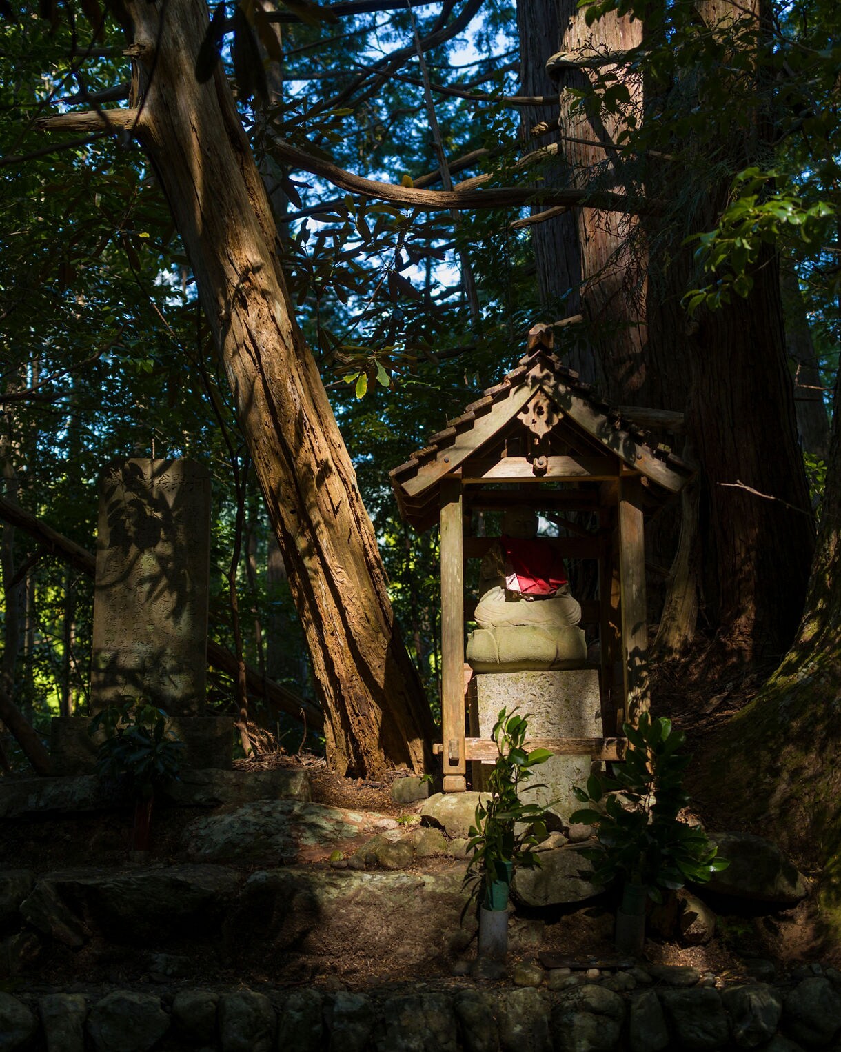 A small stone Jizo statue wearing a red bib sits inside a wooden shelter on a mossy forest path, surrounded by towering trees and soft dappled light.