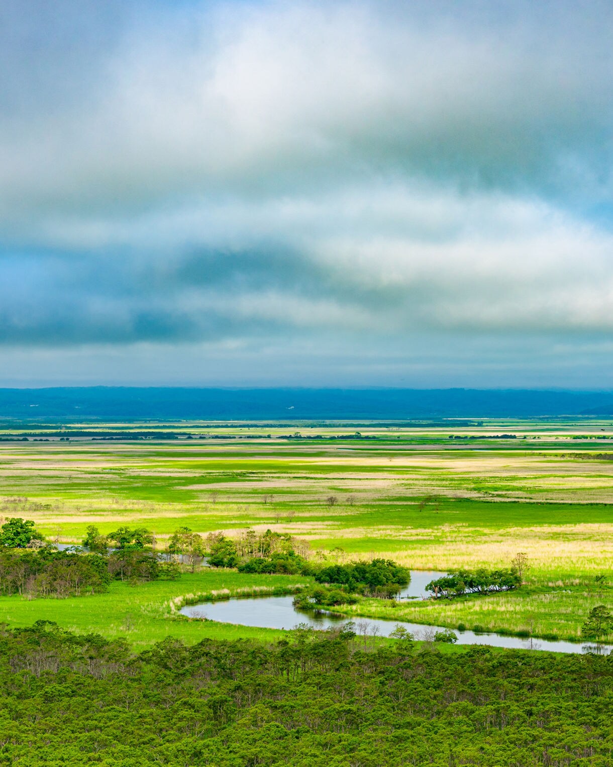 Wide view of lush green wetlands in Kushiro with a winding river, dense forests and a cloudy blue sky above.