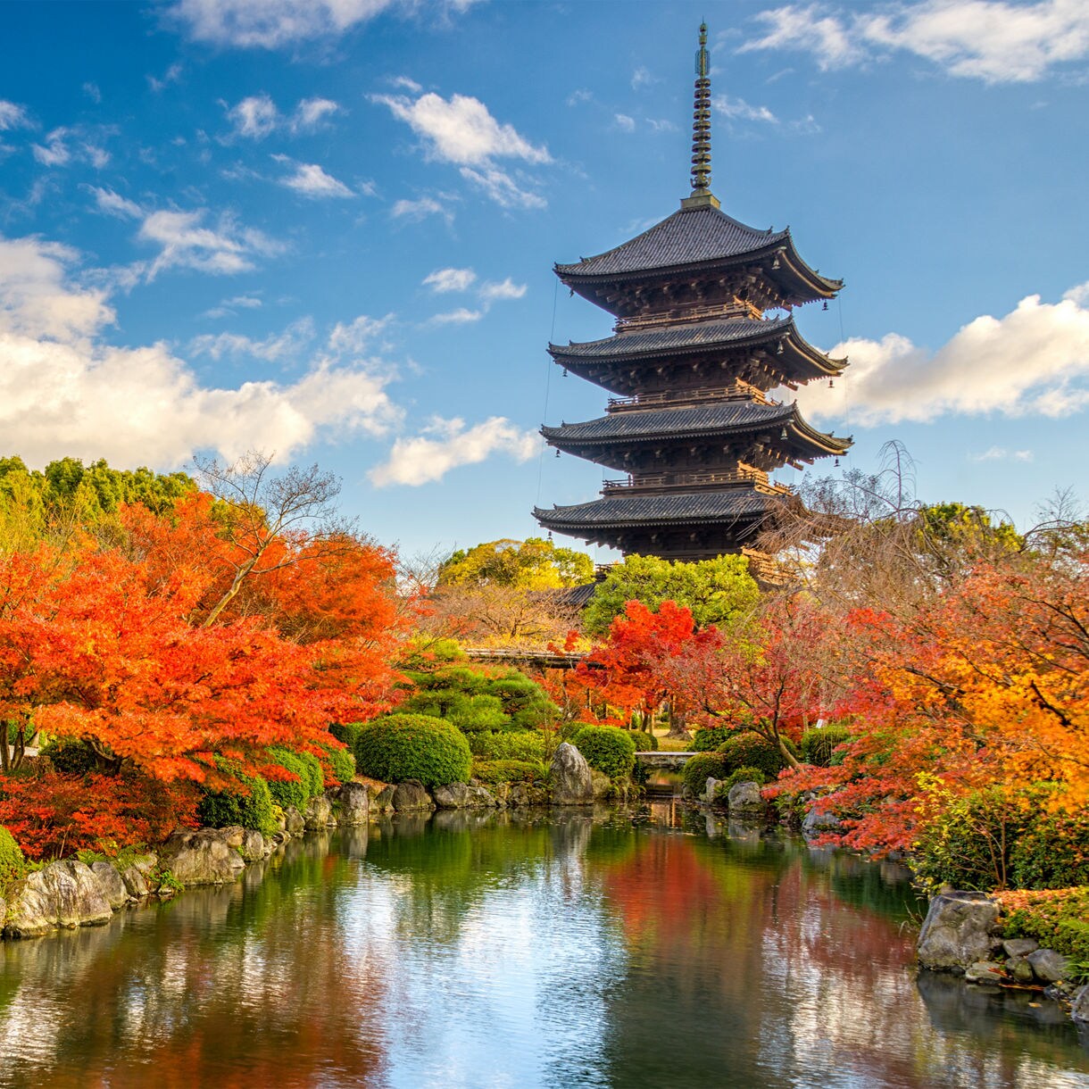Five-story To-ji Pagoda in Kyoto, Japan surrounded by vibrant autumn foliage and a peaceful garden pond.