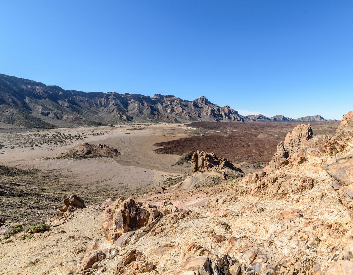 Panoramic view of Orotava Valley in Tenerife with green hills, scattered villages and purple flowers in the foreground.
