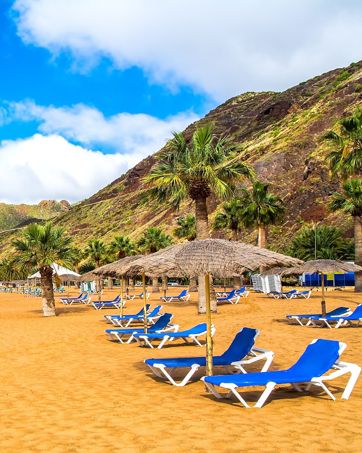 Las Teresitas Beach in Tenerife with golden sand, blue loungers, palm trees and mountains in the background.