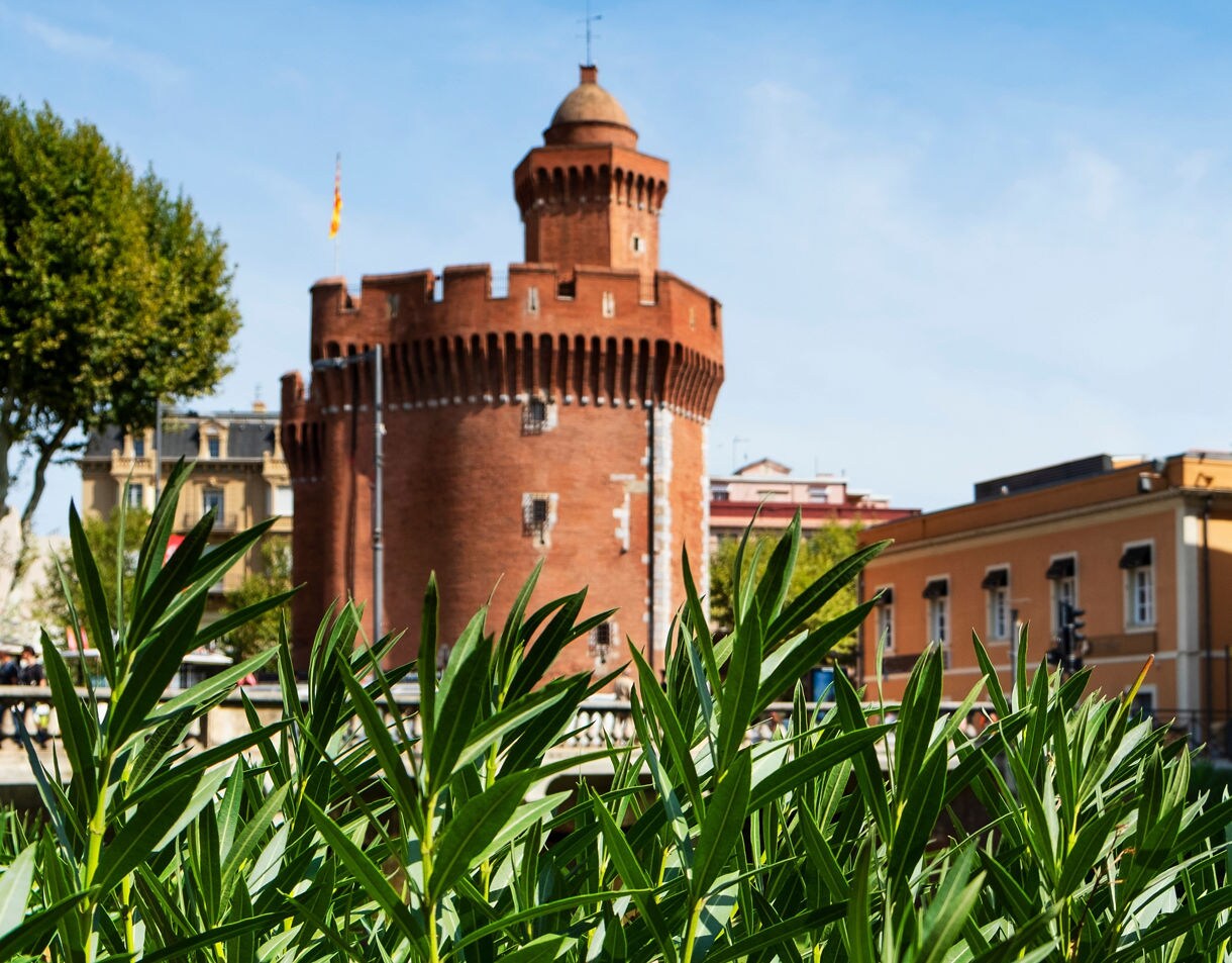A red-brick medieval tower with battlements in Perpignan, seen behind tall green plants on a sunny day.