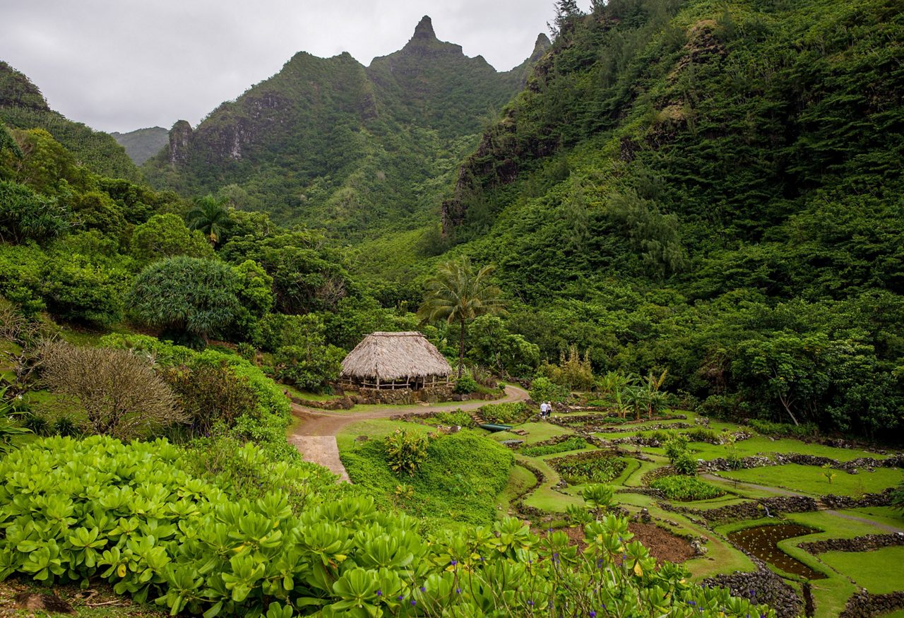 Limahuli Garden on Kauai featuring terraced taro fields, a thatched hut and towering green mountains under an overcast sky.