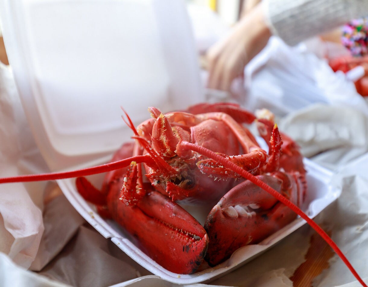 Close-up of a bright red cooked lobster served in a white takeout container with hands in the background.