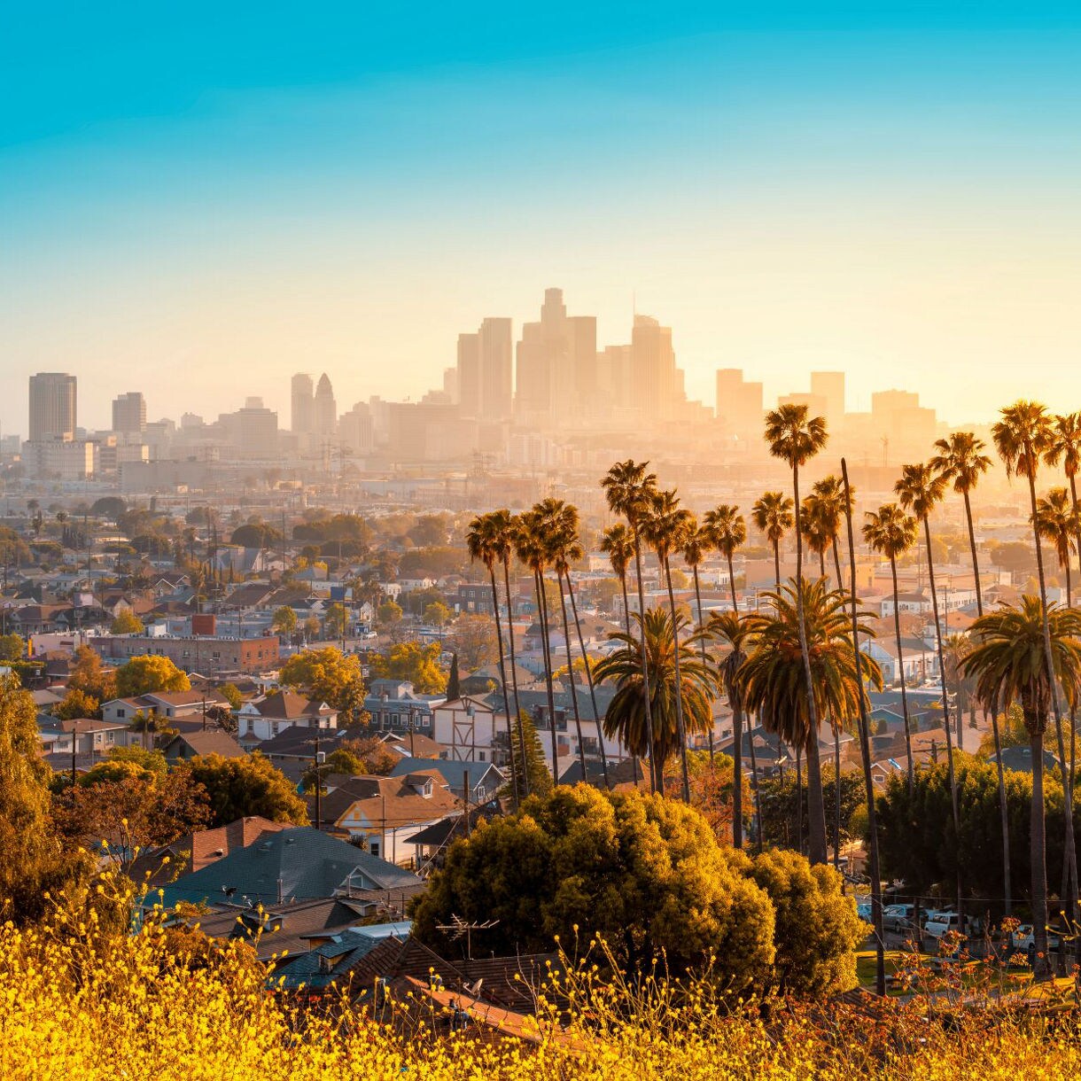 los angeles california