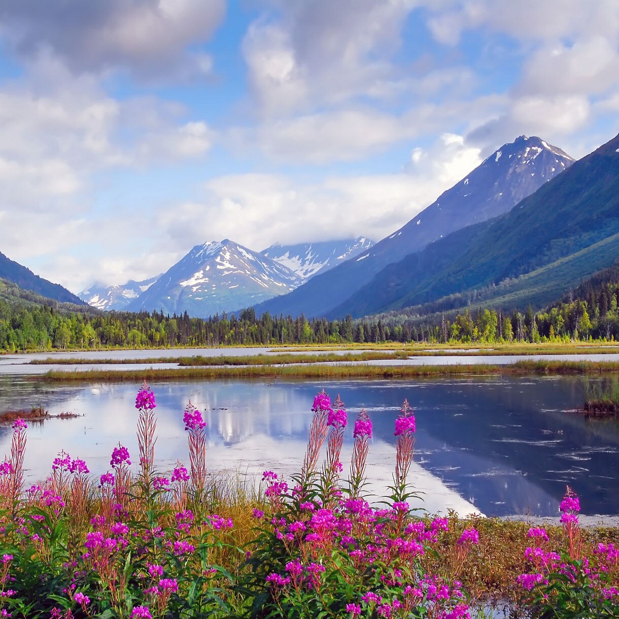 A serene mountain lake framed by vibrant flowers and majestic mountains in the background, showcasing nature's beauty.