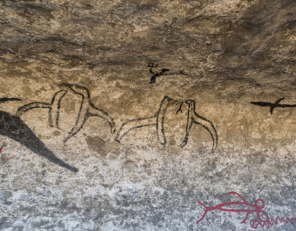 Close-up of Māori rock art showing black and red figures painted on a rough cave wall, including stylized animals and human shapes.