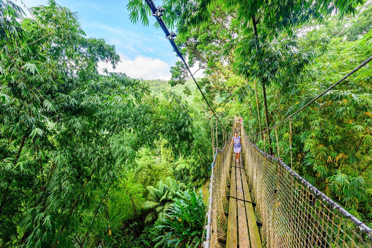 Woman crossing a narrow wooden suspension bridge surrounded by dense tropical greenery in Martinique’s rainforest garden.