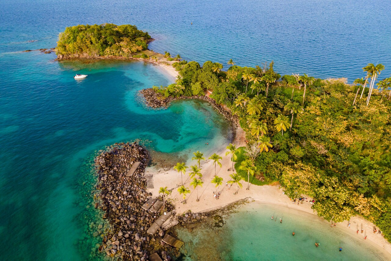 Aerial view of a small tropical beach cove in Martinique with palm trees, clear shallow water, and surrounding forested shoreline.