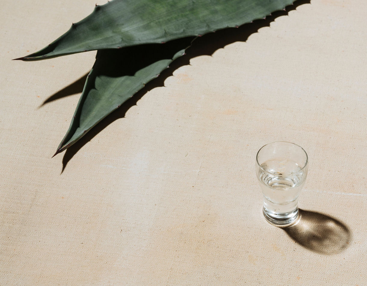 A shot glass of clear mezcal casting a shadow on a beige surface beside large green agave leaves.