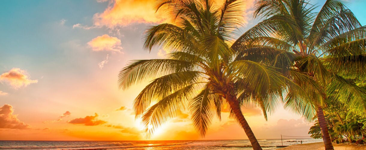 Tropical beach sunset with palm trees leaning over golden sand and calm ocean waters, representing Miami as a cruise departure port.