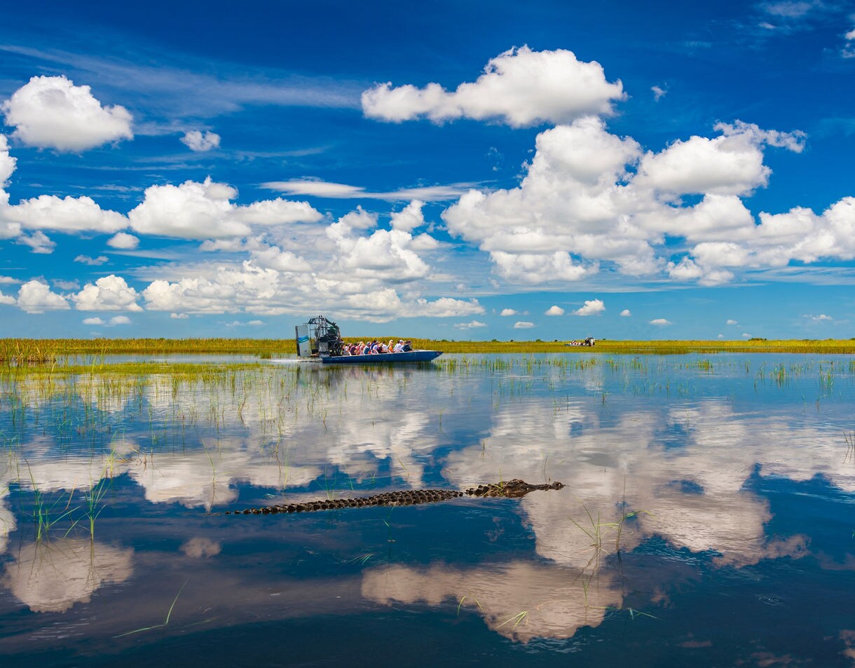 An airboat filled with tourists cruises across the glassy surface of a broad, shallow wetland in the Everglades, with an alligator visible just below the surface in the foreground, and a bright blue sky with large white clouds reflected in the water.