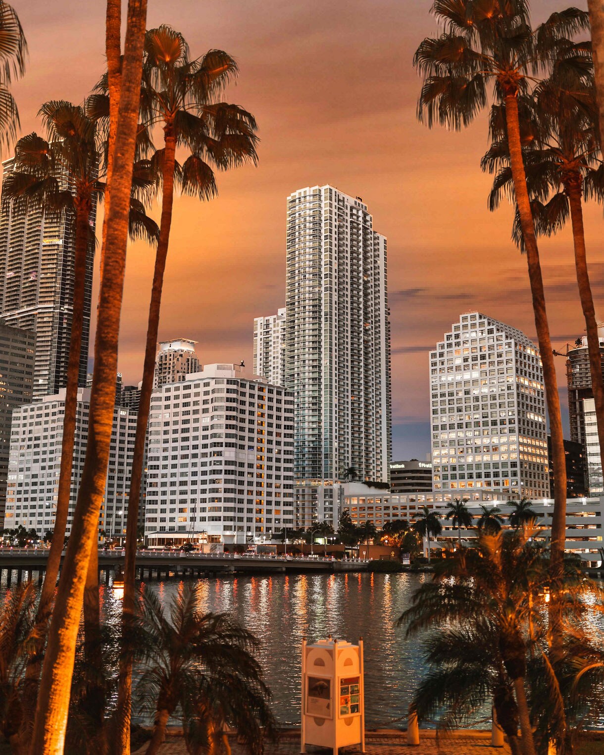 Vertical view of the Miami skyline at sunset, with tall white residential buildings framed by the dark silhouettes of several palm trees, all reflected in the calm water of the bay under an orange and pink sky.