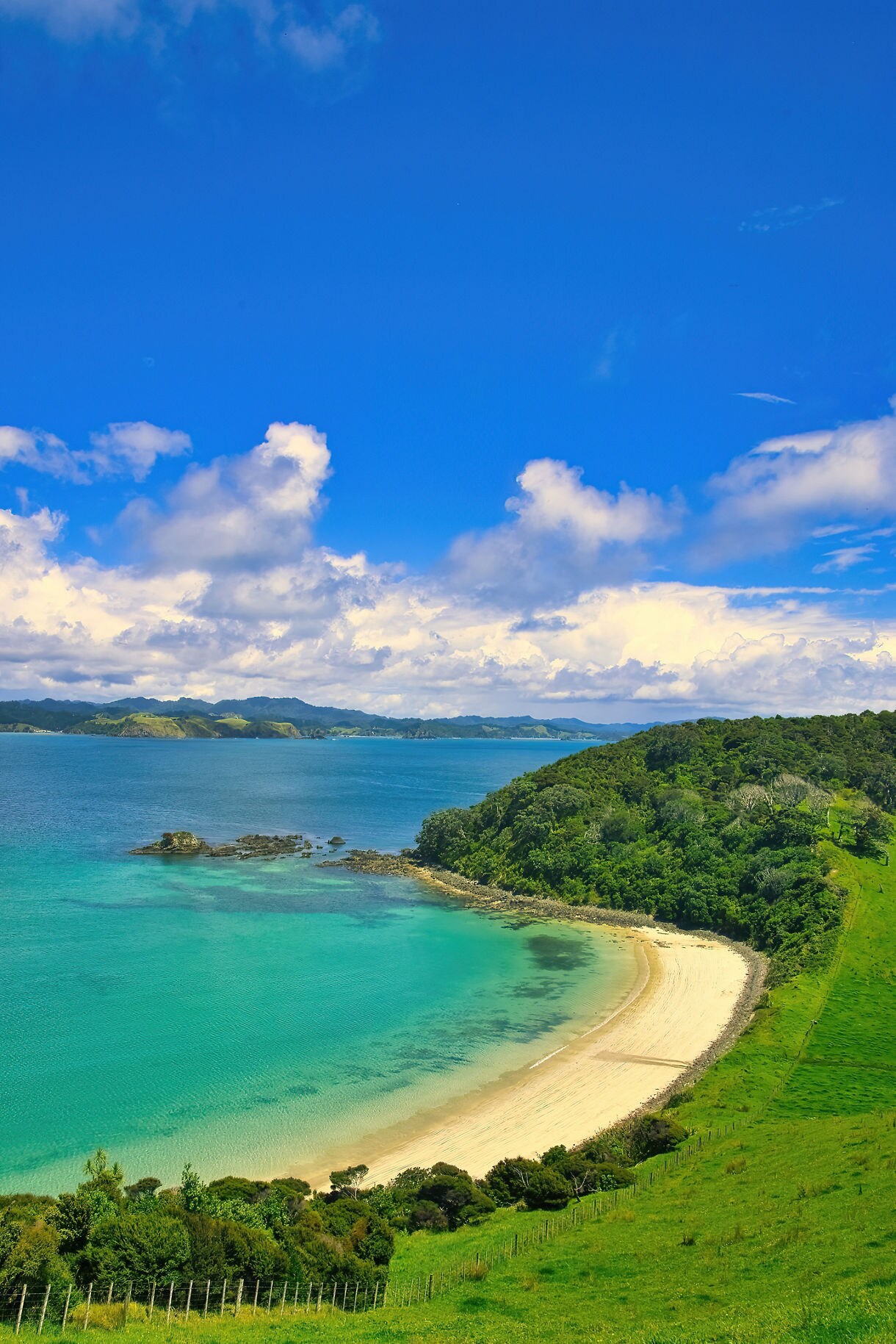 Aerial view of Mimiwhangata Coastal Park featuring a curved golden beach, lush green hills and clear turquoise water under a bright blue sky.