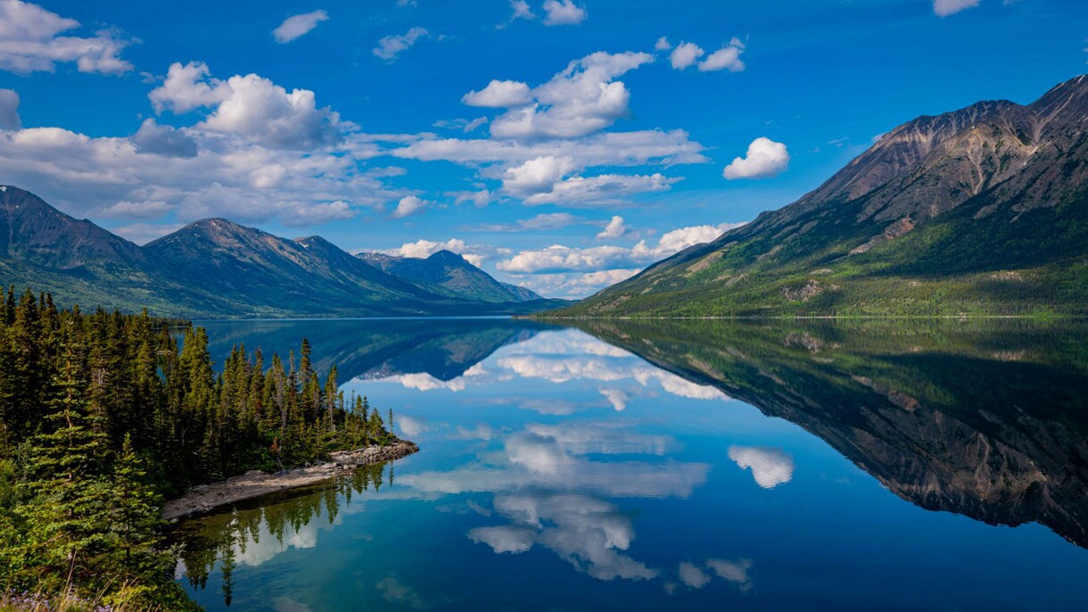 A pristine view of Tutshi Lake with surrounding mountains and lush forests, reflecting perfectly in the calm water under a blue sky with fluffy clouds.