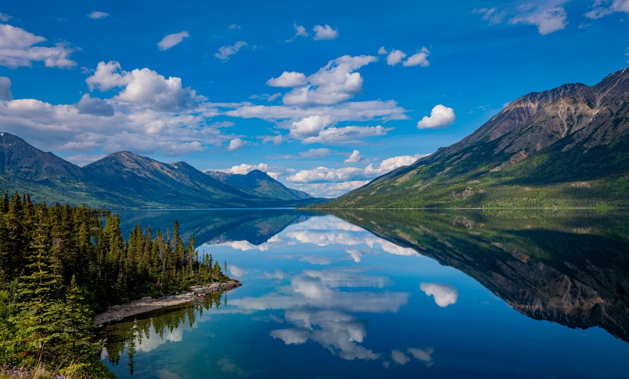A pristine view of Tutshi Lake with surrounding mountains and lush forests, reflecting perfectly in the calm water under a blue sky with fluffy clouds.