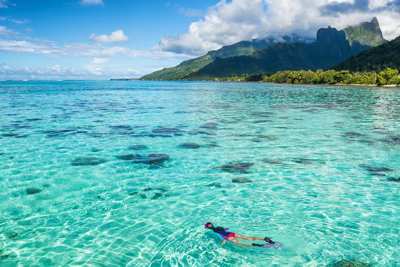 snorkeling in moorea