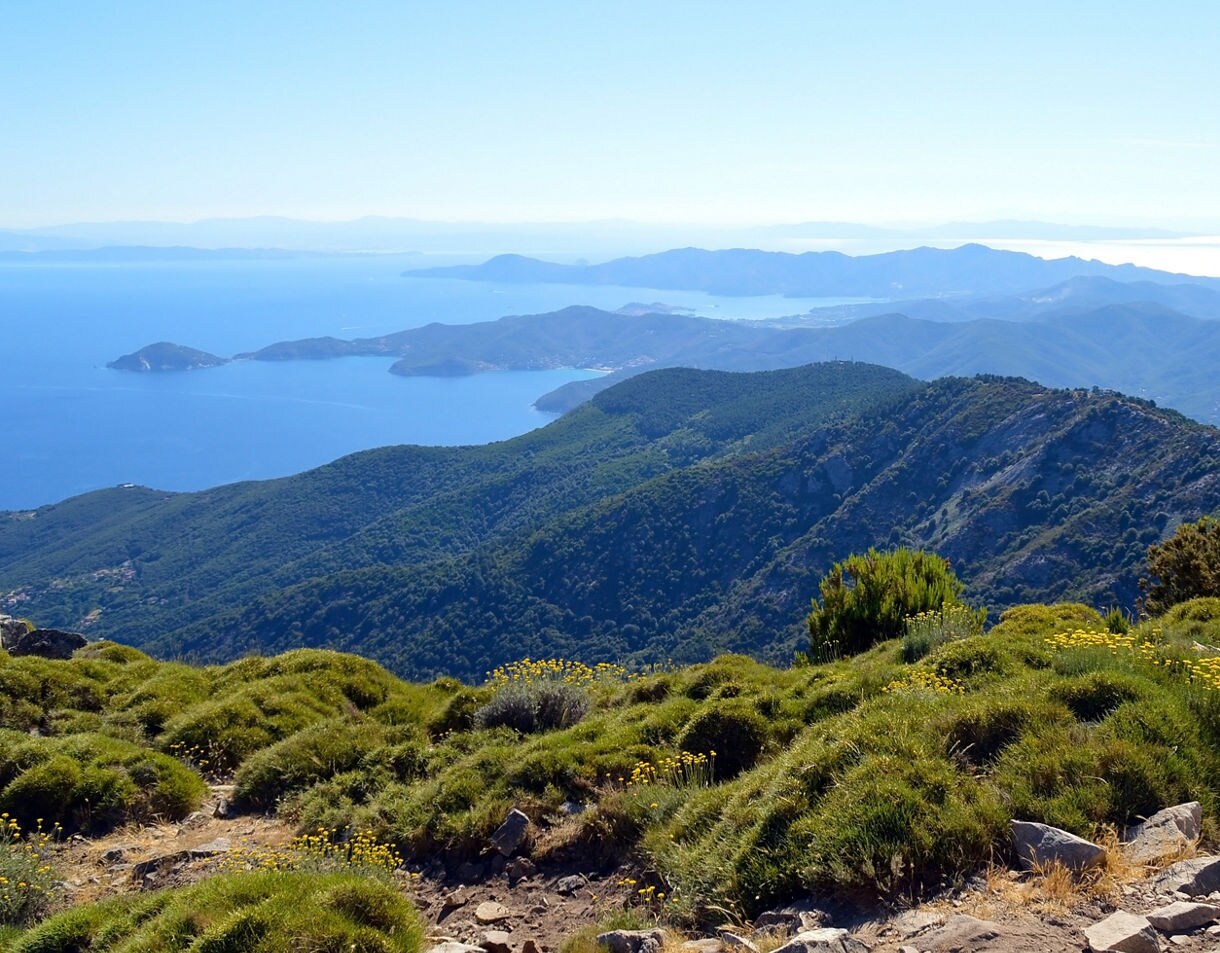 Panoramic view from Mount Capanne showing rocky trails, low green shrubs and a series of forested ridgelines descending into bright blue Mediterranean bays.