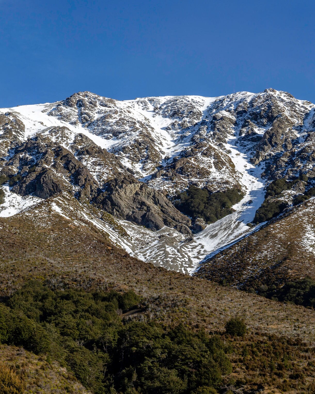 Snow-dusted rocky slopes of Mt Horrible under a clear blue sky, with patches of scrub and forest at the base.