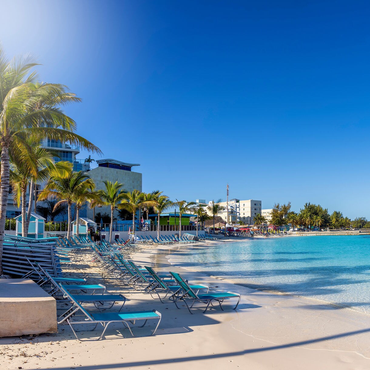 Rows of blue lounge chairs line a sandy beach with turquoise water, palm trees and waterfront buildings under a bright blue sky in Nassau, Bahamas.