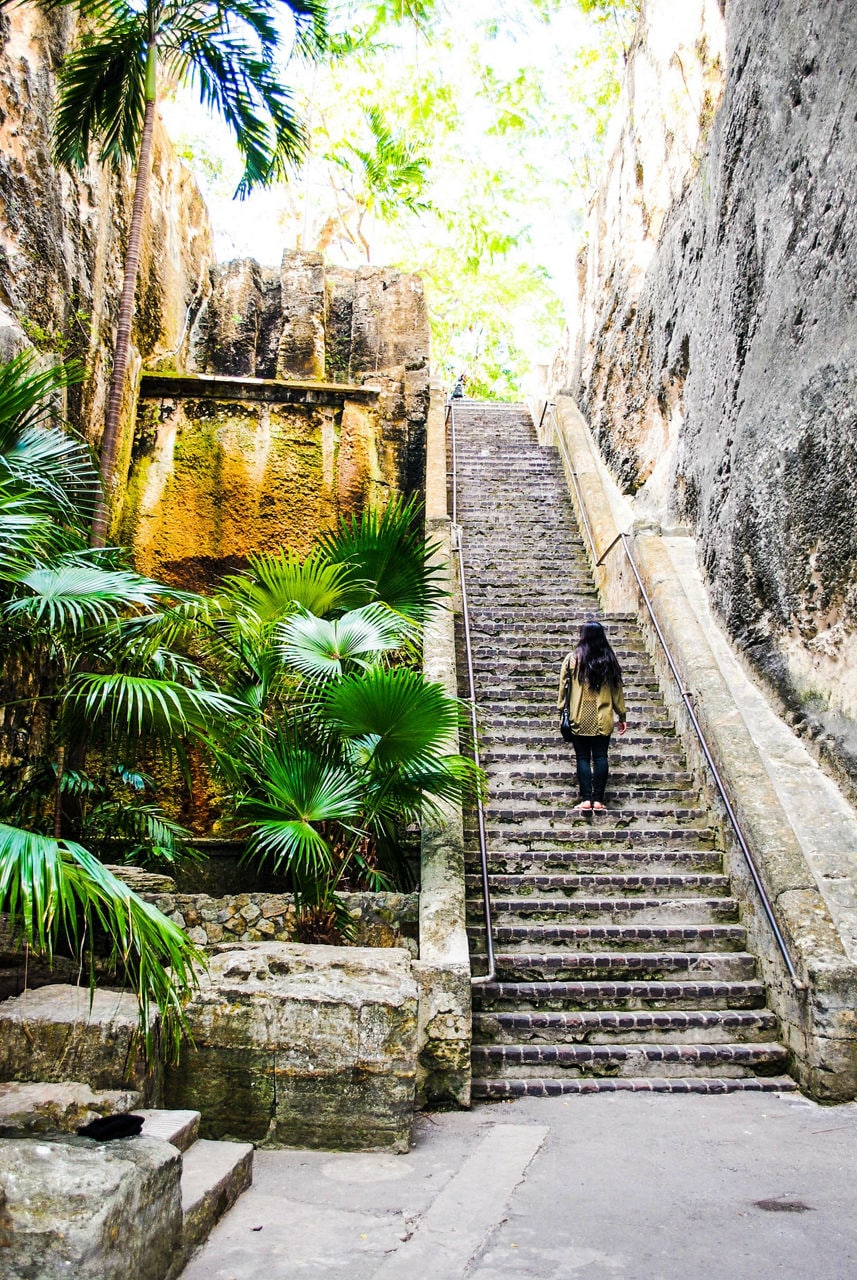 Woman walking up the Queen’s Staircase, a historic stone stairway carved into a limestone cliff surrounded by tropical plants in Nassau, Bahamas