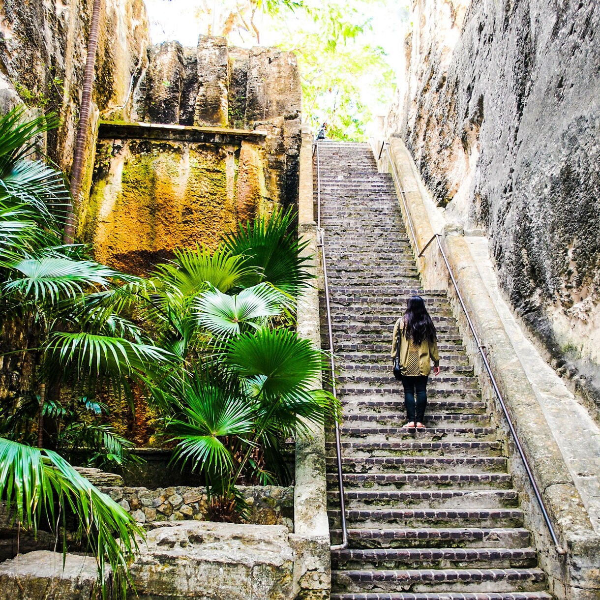 Person walking up the historic Queen's Staircase, a limestone stairway carved into rock walls surrounded by tropical plants and palm fronds.