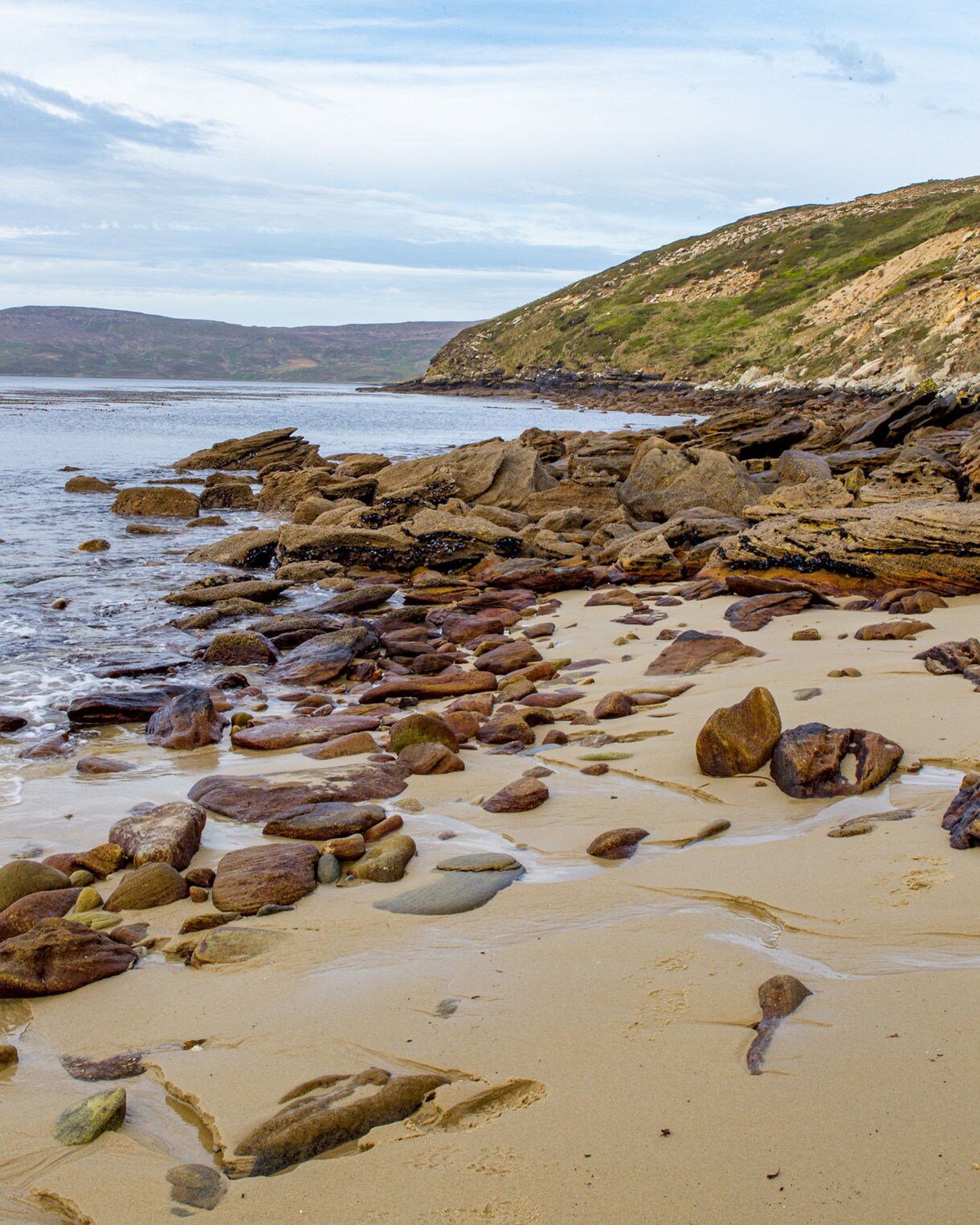Rocky shoreline on New Island with smooth golden sand, scattered stones and a sloping green hillside beside calm coastal water.