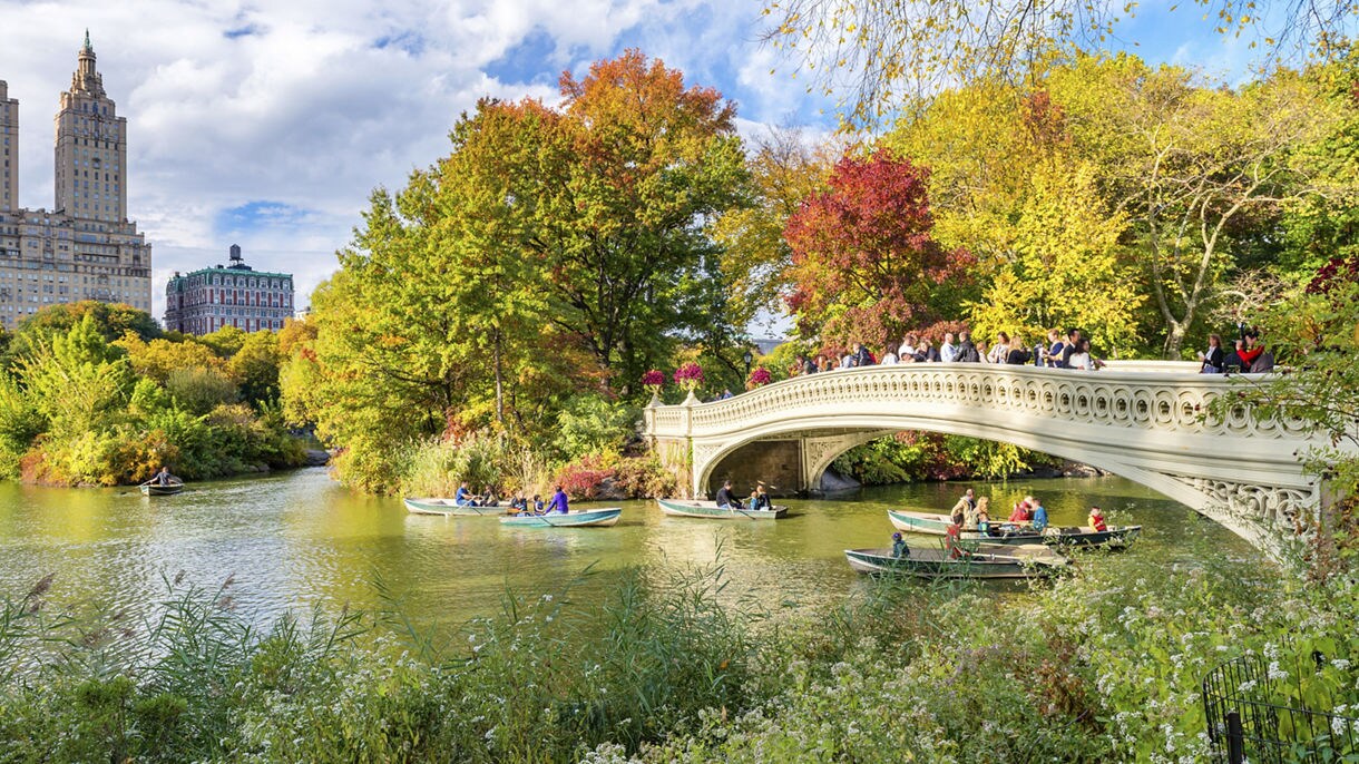 Bow Bridge in Central Park, New York City, NY, USA.