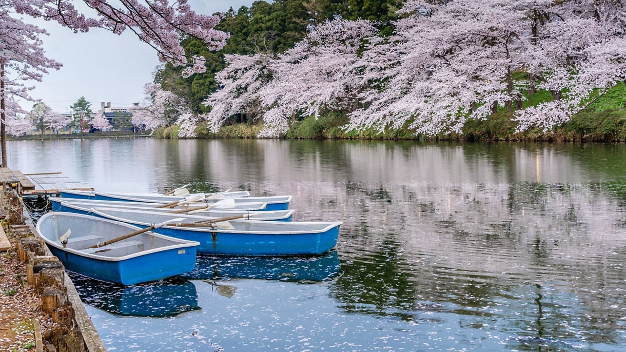 Niigata, Japan