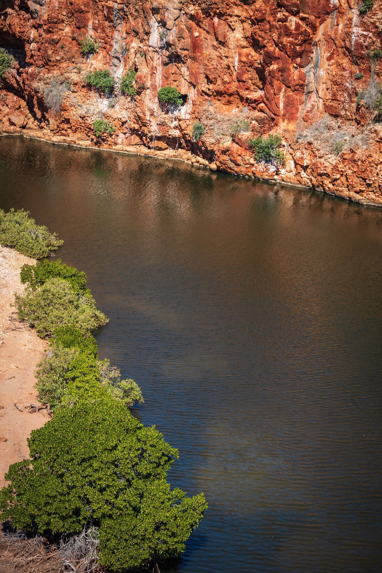 Steep red rock walls reflected in calm brownish water with green shrubs lining the shore.