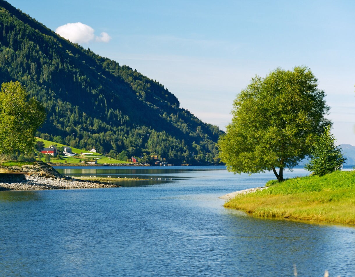 Nordfjordeid fjord view with clear blue water, green meadows, scattered red farmhouses and forested hillsides.