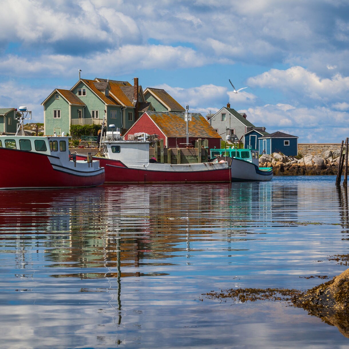 Halifax Shore Excursions: Explore the History of Nova Scotia