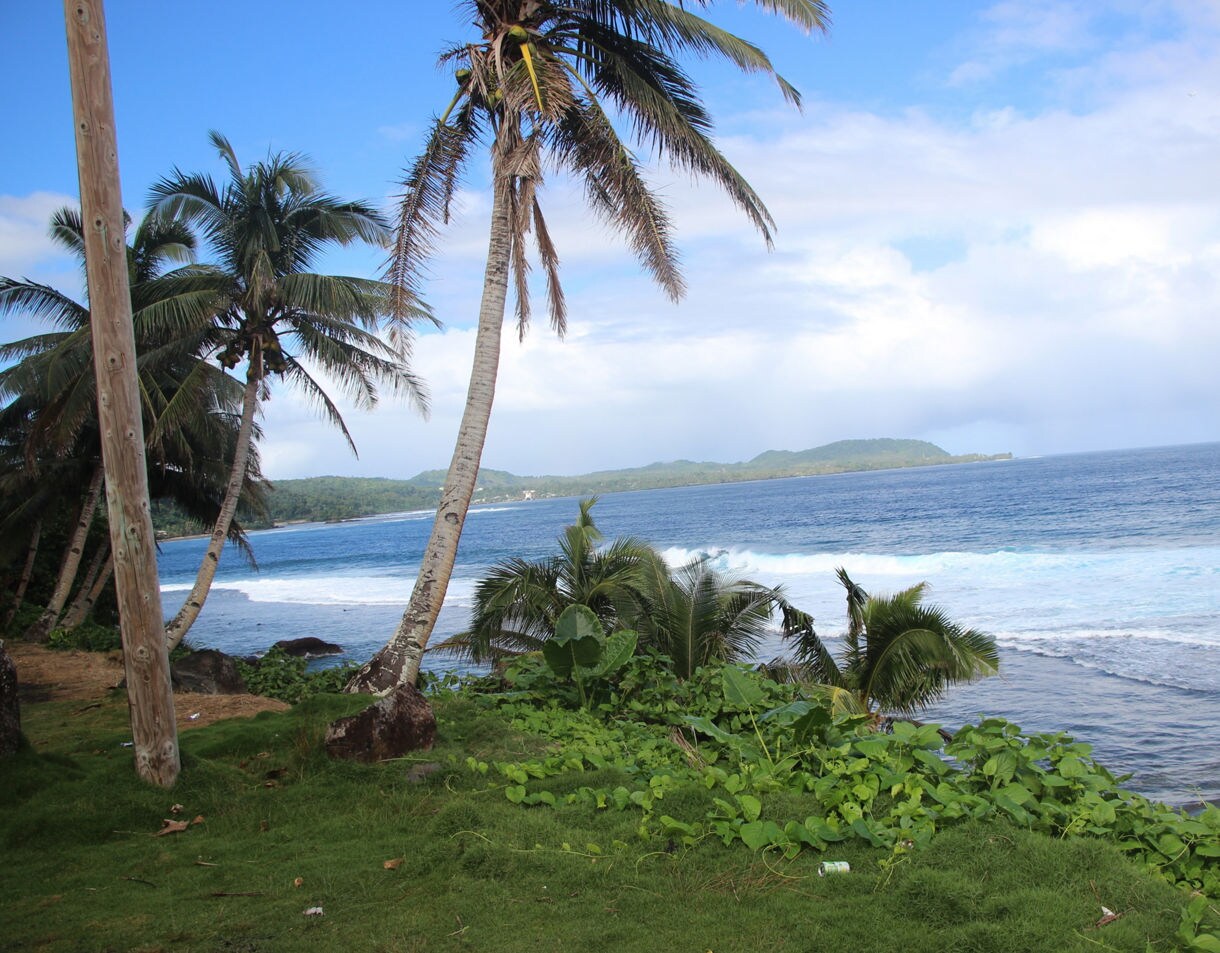 A tropical coastline with palm trees, green ground cover and blue ocean waves breaking near the shore under a partly cloudy sky.
