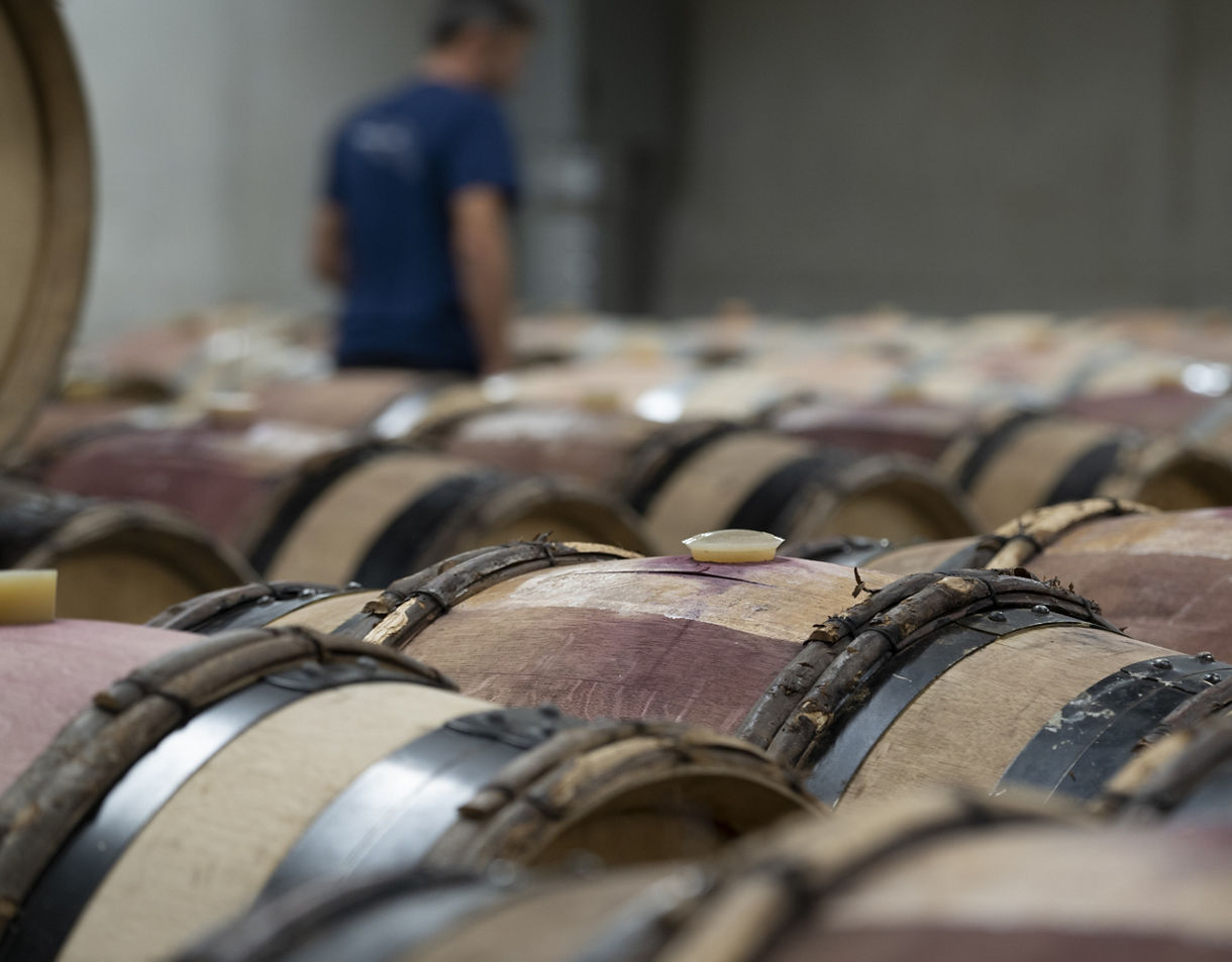 A close-up view of wooden wine barrels lined in rows inside a dim cellar, with a blurred worker inspecting them in the background.