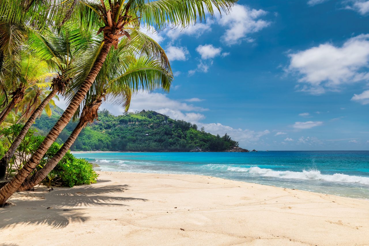 Ocho Rios, Jamaica, beach coast with palm trees