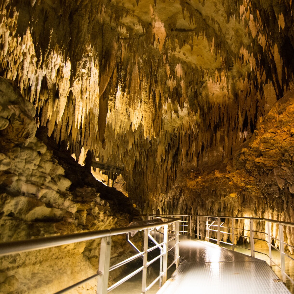 Interior view of Gyokusendo Cave in Okinawa, showing a well-lit walkway surrounded by dramatic stalactites and textured cave walls.