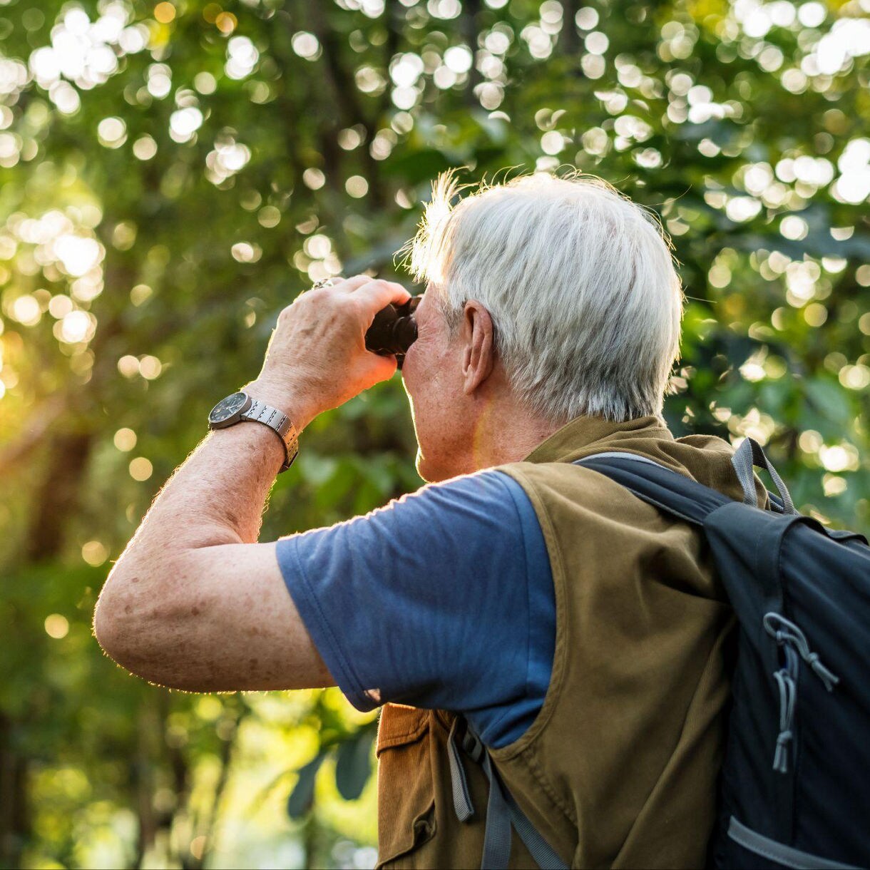 An older man with silver hair and a backpack observes the forest through binoculars, surrounded by lush greenery and warm sunlight.