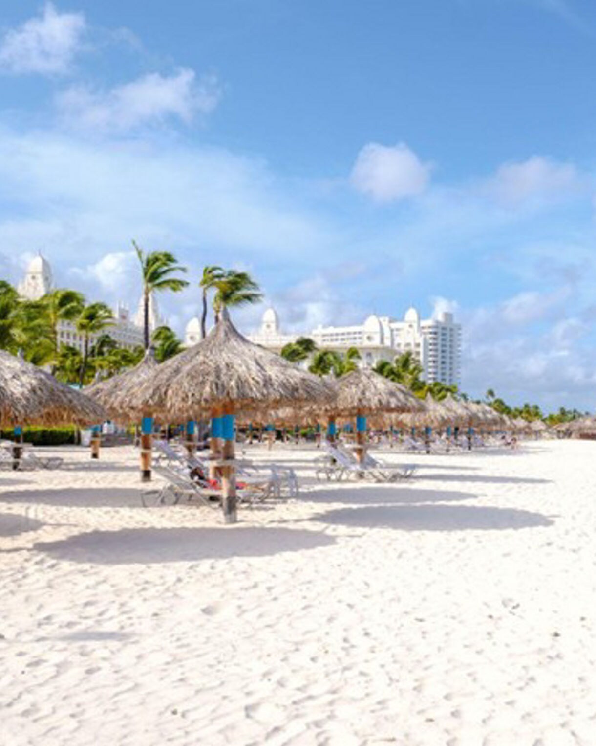 Palm beach in Aruba