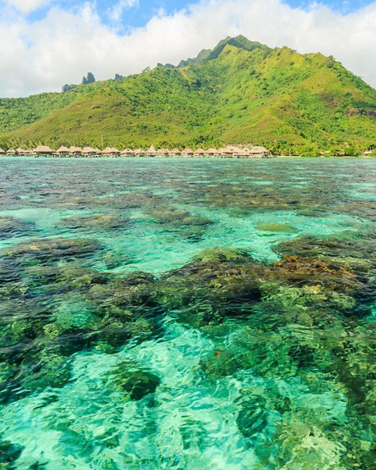 Make a Moorea Day Trip on a South Pacific Cruise