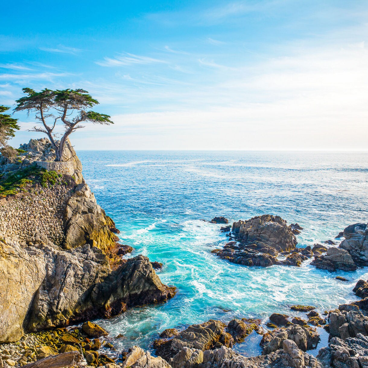 THE 10 BEST Cali Tours & Excursions for 2024 (with Prices)