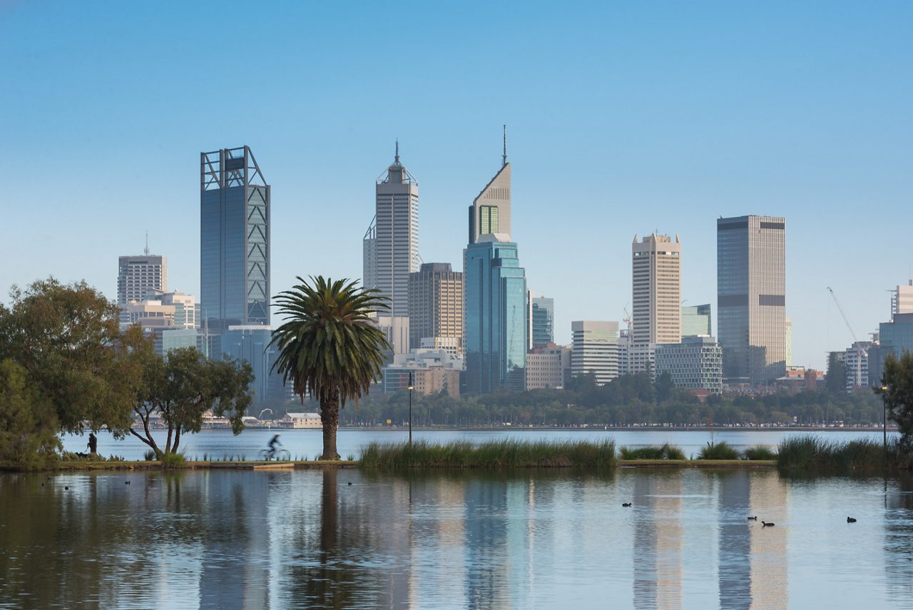 he Perth city skyline viewed across the Swan River, with a palm tree and native vegetation in the foreground, ducks swimming in the calm water, and modern downtown buildings reflected in the river under a clear blue sky.