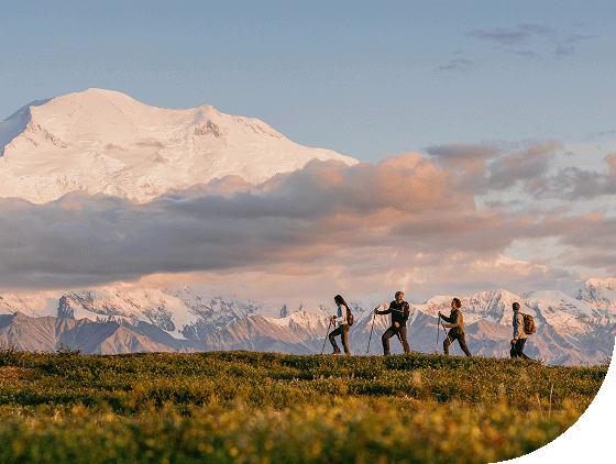 A group of friends hike in Denali National Park.