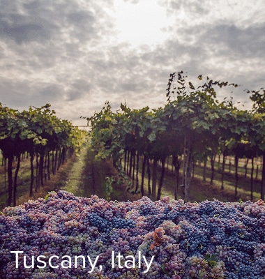 Farmlands in Tuscany, Italy.
