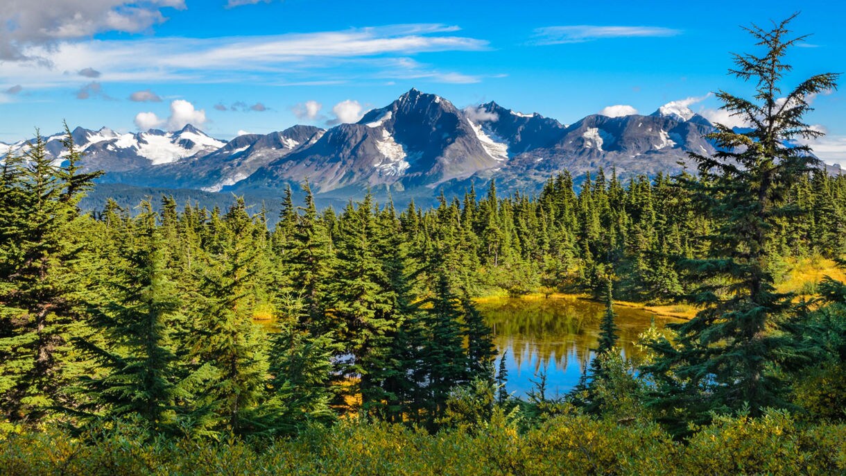 Portage Glacier Scenic Cruise & Drive