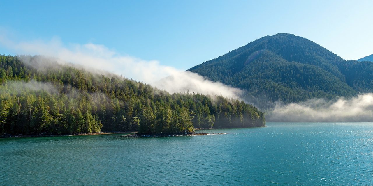 Coastal forest in Prince Rupert, British Columbia with dense green trees and light morning fog drifting over hills above calm, blue-green ocean water.