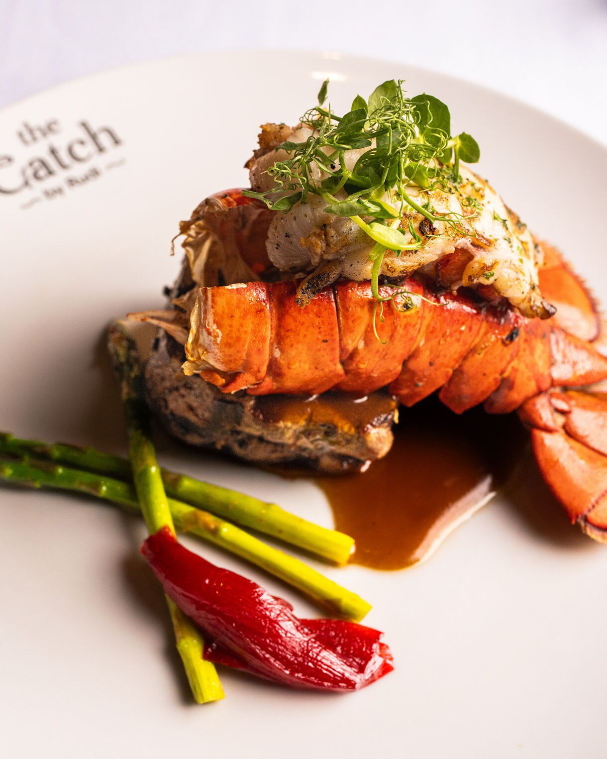 The Catch by Rudi-プリンセス・クルーズ